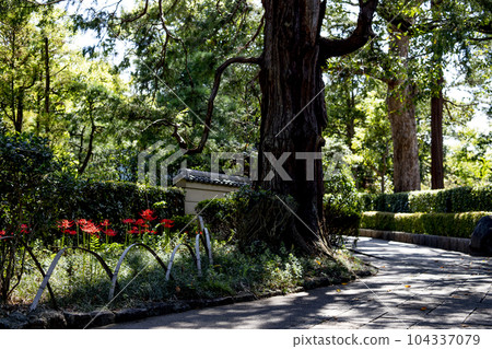 Tojogaoka Historical Park Surrounding scenery 104337079