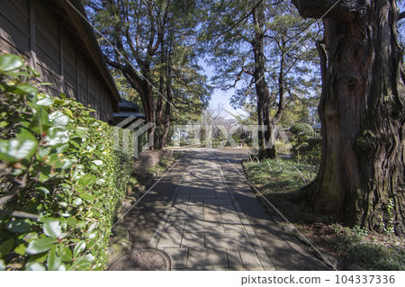 Tojogaoka Historical Park Surrounding scenery 104337336