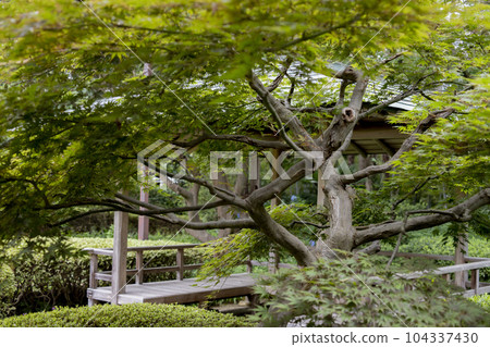 Tojogaoka Historical Park Surrounding scenery 104337430