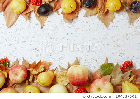 autumn background with apples, pears, plums and pyracantha 104337501