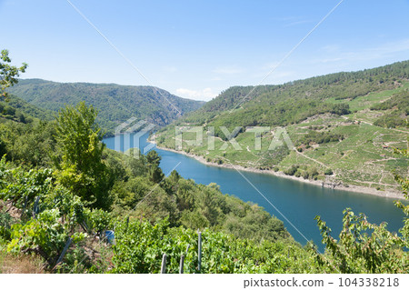 Vineyards landscape from Ribeira Sacra wine area, Galicia, Spain 104338218