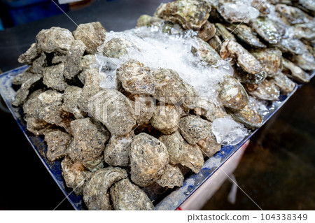 Fresh raw closed oysters 104338349
