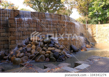 Shinjuku Central Park Waterfall (autumn foliage season) 104341274