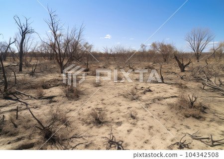 Wild nature drought view extremely hot summer 104342508
