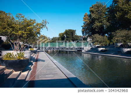 Public park near pond in summer, morning photo. 104342968