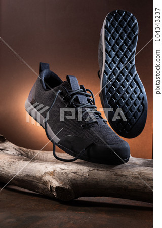 Light summer sneakers on a log. Casual shoes for the city and tourism. Sneakers for the city. Light summer sneakers on a log. Casual shoes for the city and tourism. Sneakers for the city. 104343237