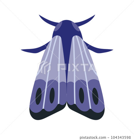 Night moth, insect with wings, cartoon style. Trendy modern vector illustration isolated on white background, hand drawn, flat design. 104343598