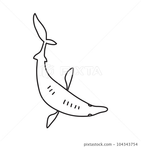 Vector stock illustration with single object: animal, hand drawn, doodle style. 104343754