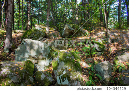 Nature monument "Urochische Chertovo Gorodische" settlement in the national park "Ugra". Russia Nature monument "Urochische Chertovo Gorodische" settlement in the national park "Ugra". Russia 104344529