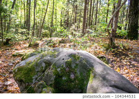 Nature monument "Urochische Chertovo Gorodische" settlement in the national park "Ugra". Russia Nature monument "Urochische Chertovo Gorodische" settlement in the national park "Ugra". Russia 104344531