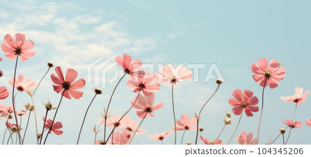 Pink poppy flowers background. Illustration AI Generative Pink poppy flowers background. Illustration AI Generative 104345206
