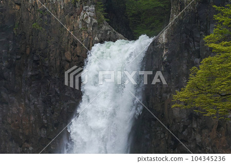 Niigata Prefecture (Nagano Prefecture) / Fresh green seedling waterfall 104345236