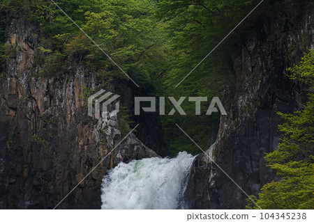 新潟縣（長野縣）/鮮綠苗瀑布 104345238