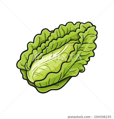 Lettuce hand-drawn illustration. Lettuce. Vector doodle style cartoon illustration 104346235
