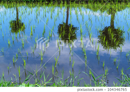 Reflecting sky 104346765