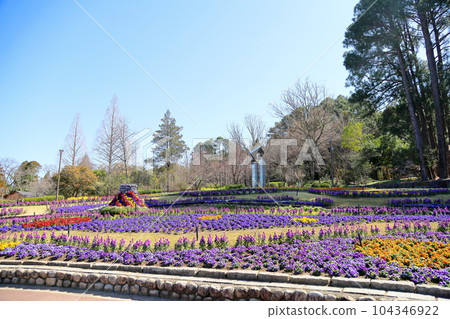 春天的大花壇 104346922