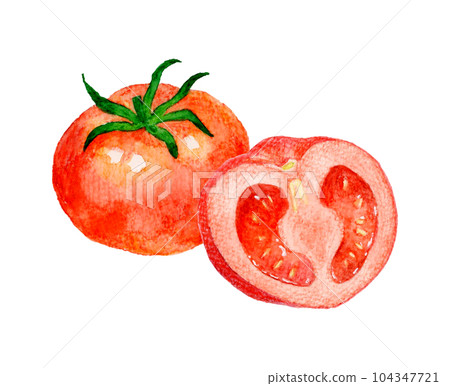 Set of red tomatoes Hand-drawn watercolor illustrations of summer vegetables Set of red tomatoes Hand-drawn watercolor illustrations of summer vegetables 104347721