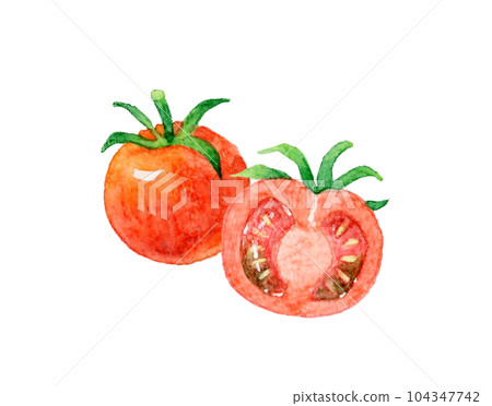 Red petit tomato cut in half Hand drawn watercolor illustration material of summer vegetables Red petit tomato cut in half Hand drawn watercolor illustration material of summer vegetables 104347742