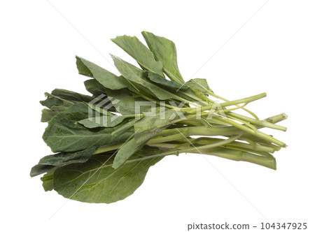 Kale fly in mid air, green fresh vegetable chinese kale falling. Organic fresh vegetable with eaten leaf of chinese kale, heap close up texture. White background isolated freeze motion high speed Kale fly in mid air, green fresh vegetable chinese kale falling. Organic fresh vegetable with eaten leaf of chinese kale, heap close up texture. White background isolated freeze motion high speed 104347925