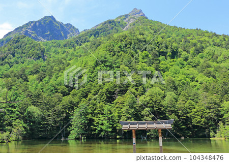 初夏明神池的上高地 104348476