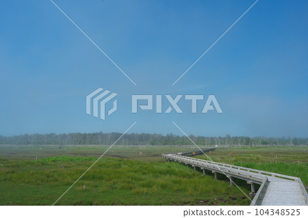 清晨霧中的濕地和木路 104348525