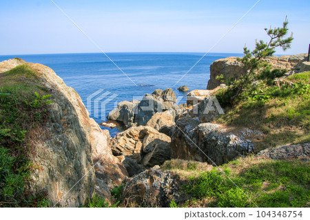 Hinosauri Hinosauri 104348754