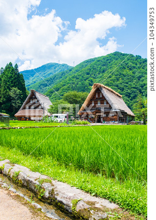 Gokayama Suganuma Gassho-zukuri Village (Summer) Gokayama Suganuma Gassho-zukuri Village (Summer) 104349753