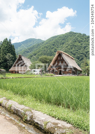 五箇山菅沼合掌造村(夏) 五箇山菅沼合掌造村(夏) 104349754