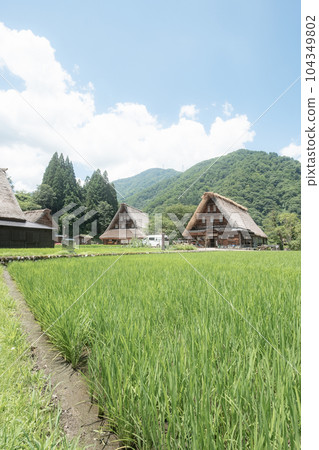 Gokayama Suganuma Gassho-zukuri Village (Summer) Gokayama Suganuma Gassho-zukuri Village (Summer) 104349802
