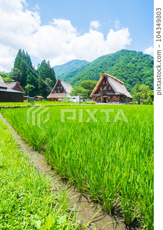 Gokayama Suganuma Gassho-zukuri Village (Summer) Gokayama Suganuma Gassho-zukuri Village (Summer) 104349803
