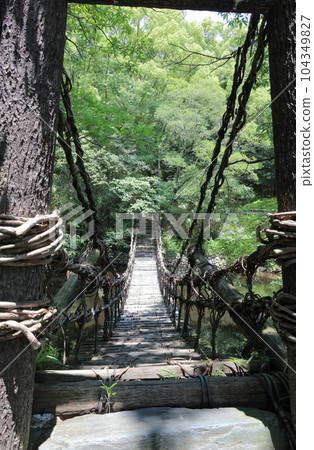 Shikokumura Miuseam "Kazura Bridge" (reproduces the Kazura Bridge in the Iya region, replaces every 3 years) Shikokumura Miuseam "Kazura Bridge" (reproduces the Kazura Bridge in the Iya region, replaces every 3 years) 104349827