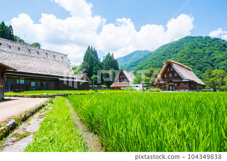 五箇山菅沼合掌造村(夏) 五箇山菅沼合掌造村(夏) 104349838