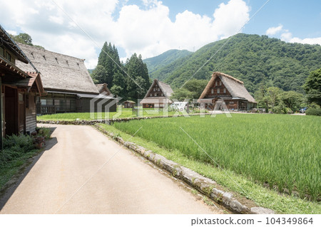 五箇山菅沼合掌造村(夏) 五箇山菅沼合掌造村(夏) 104349864