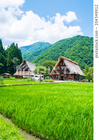 五箇山菅沼合掌造村（夏） 104349912