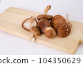 Many shiitake mushrooms on a cutting board 104350629