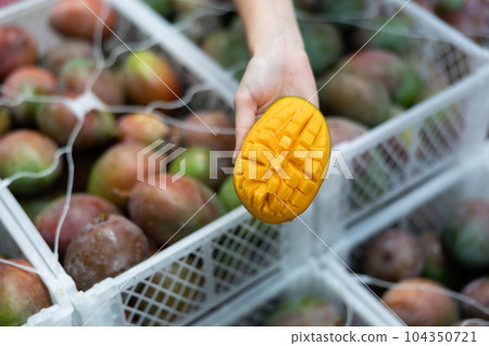 Hands of female worker holding sliced ripe mango Hands of female worker holding sliced ripe mango 104350721