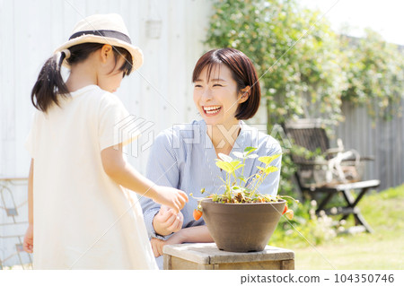 Photo of a parent and child growing strawberries Photo of a parent and child growing strawberries 104350746