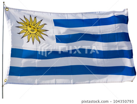 Flag of Uruguay on white background 104350793