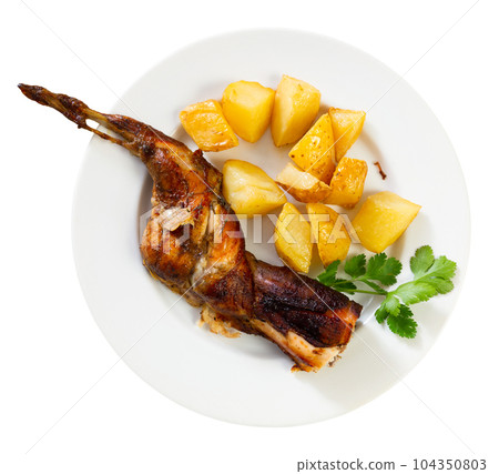Grilled rabbit served in the plate Grilled rabbit served in the plate 104350803