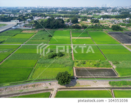 《埼玉縣》無人機拍攝的夏天的見沼稻田，Hitshiko 104351036