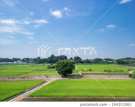 《埼玉縣》無人機拍攝的夏天的見沼稻田,Hitshiko 《埼玉縣》無人機拍攝的夏天的見沼稻田,Hitshiko 104351061