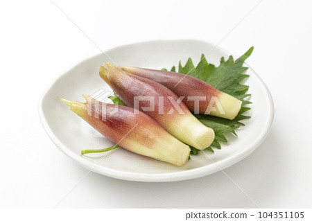 Myoga ginger on a plate white background 104351105