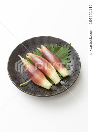 Myoga ginger on a plate white background 104351112
