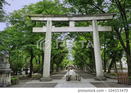 大鳥居，大國魂神社，東京 104353470