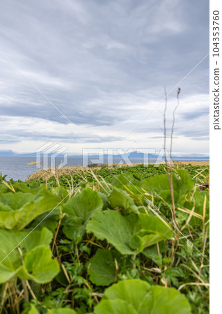 Shiretoko Peninsula from Cape Notoro, Abashiri City, Hokkaido 104353760