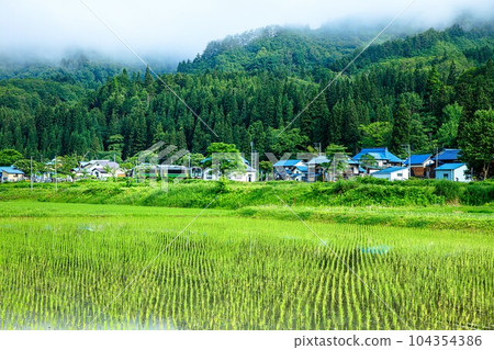 Kiha E120 train on the Tadami Line running through the countryside of Oku-Aizu (Kanayama Town, Fukushima Prefecture, mid-June morning) 104354386