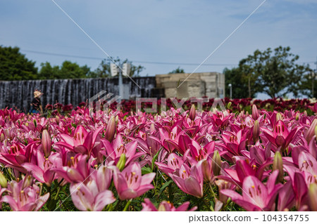 Yuri no Sato Park 104354755