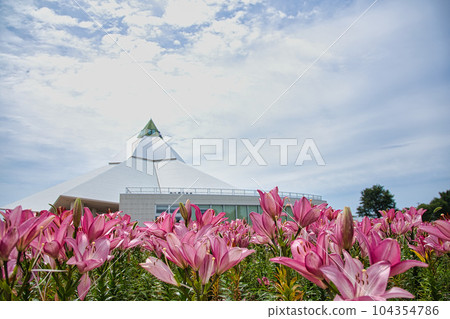 Lily Village Park in full bloom Lily Village Park in full bloom 104354786