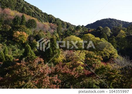 Kiyomizu Temple Kinsetsuki Kiyomizu Temple Kinsetsuki 104355997