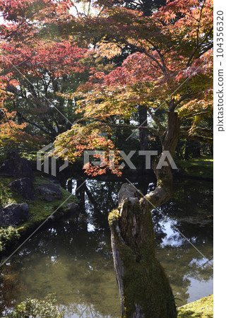Shogakuin Imperial Palace Imperial Palace Shogakuin Imperial Palace Imperial Palace 104356320